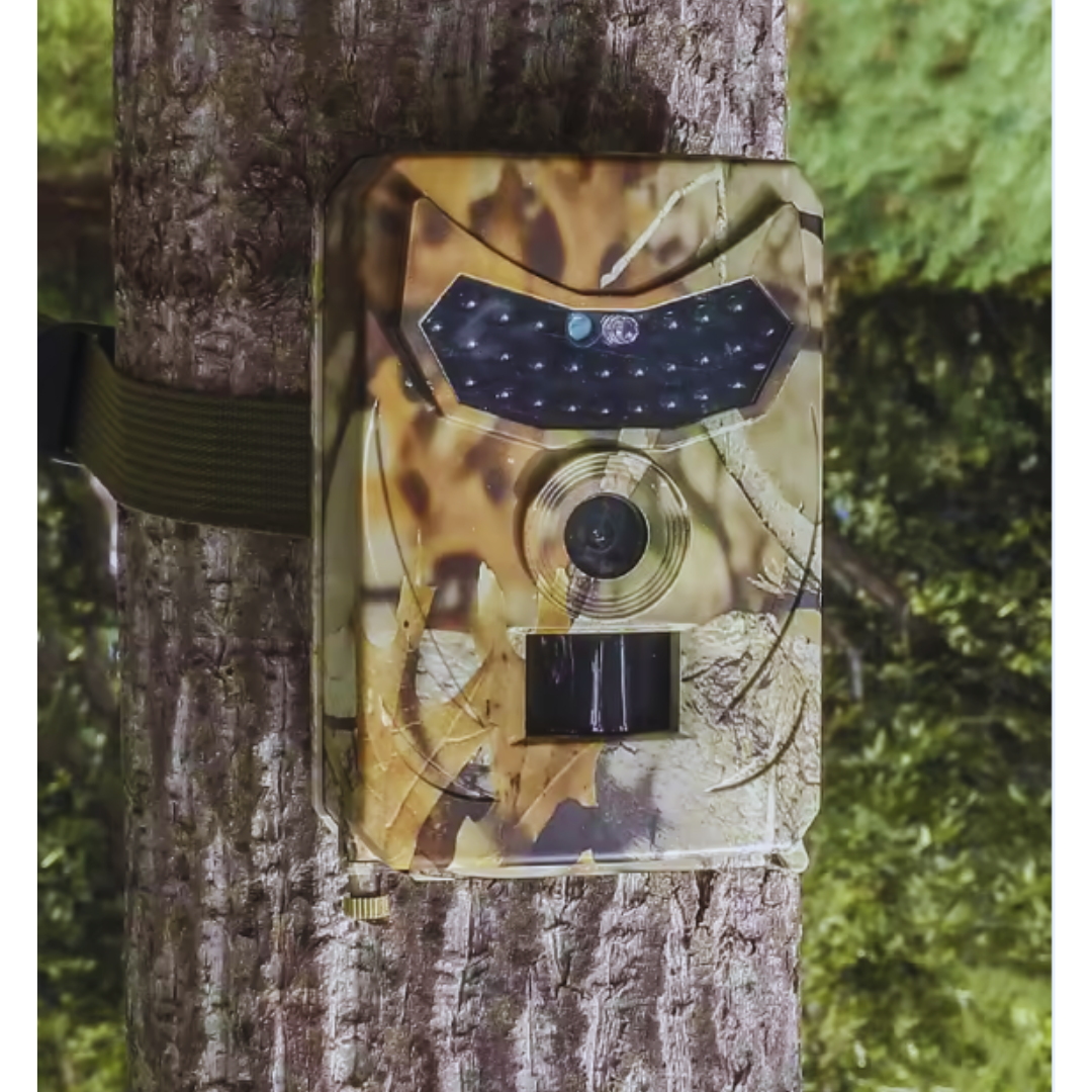 Wildkamera mit Nachtsicht – Full HD, 12MP, wetterfest